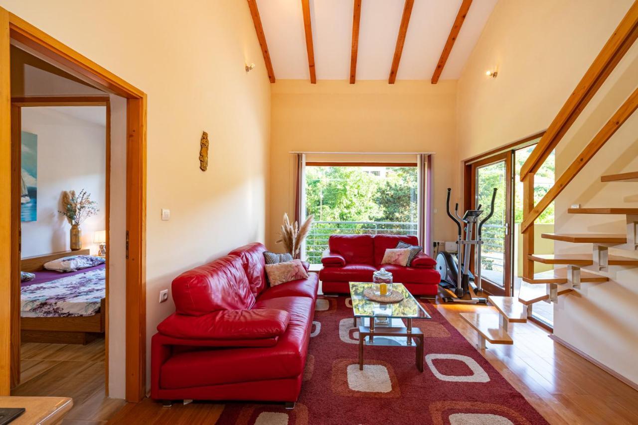 Apartments Maris Novigrad  Exterior photo