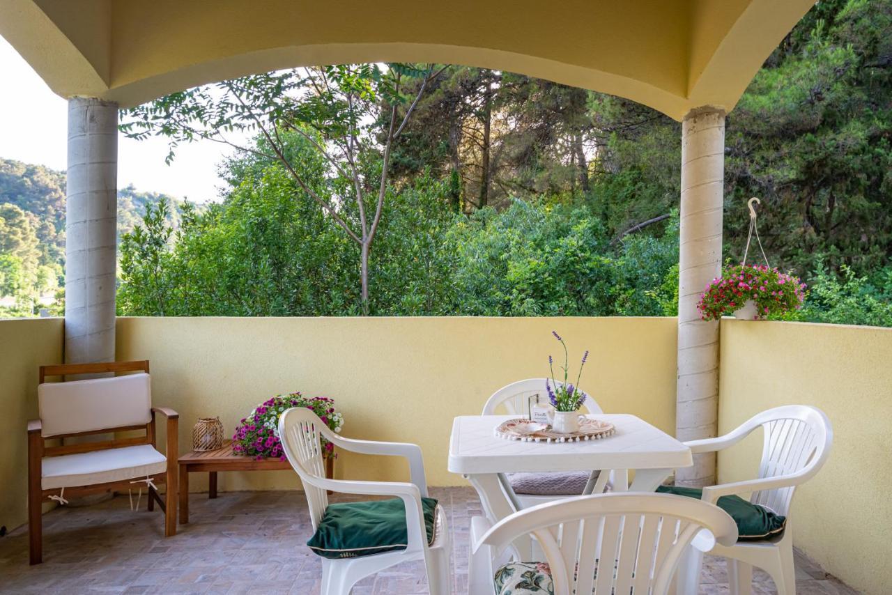 Apartments Maris Novigrad  Exterior photo