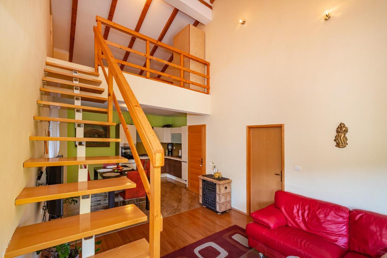 Apartments Maris Novigrad  Exterior photo