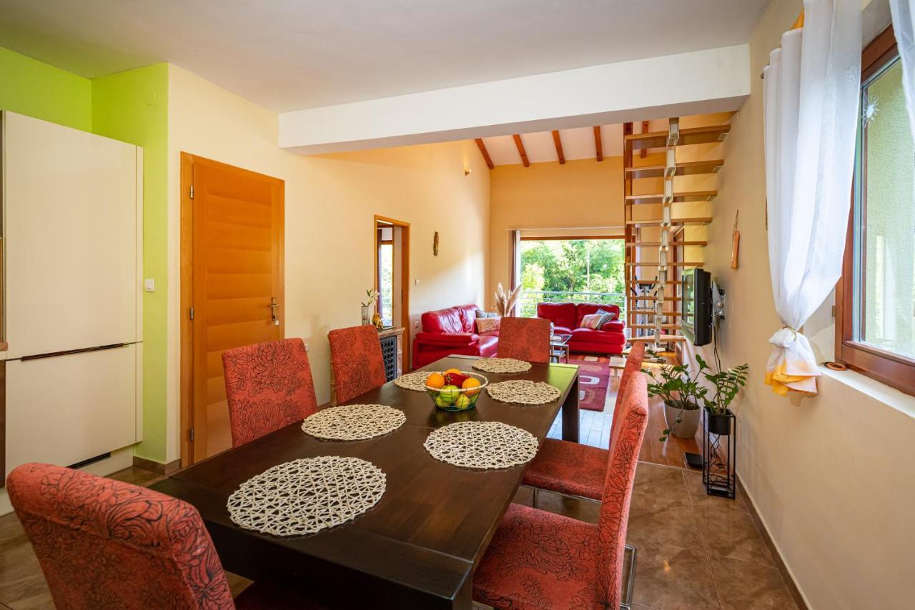 Apartments Maris Novigrad  Exterior photo