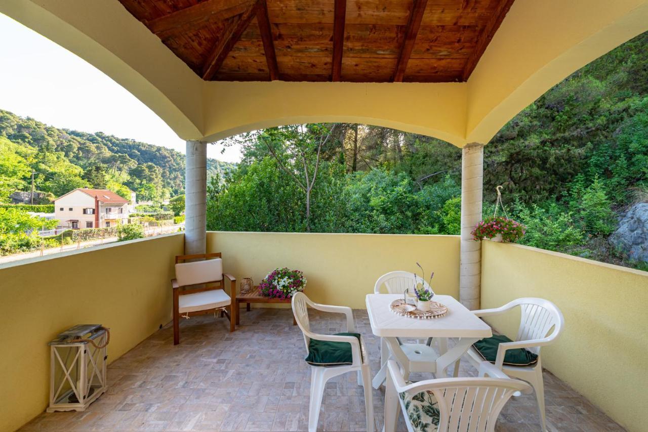 Apartments Maris Novigrad  Exterior photo